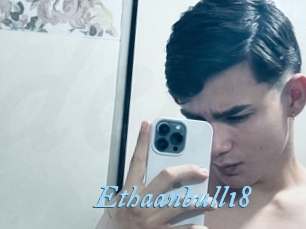Ethaanbull18
