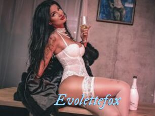 Evolettefox