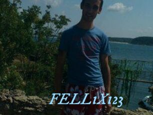 FELL1X123