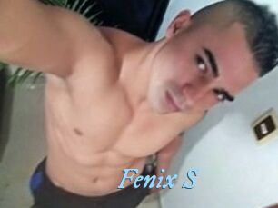 Fenix_S
