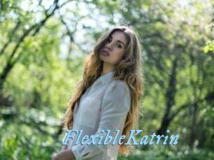 FlexibleKatrin
