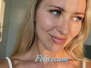 Felicecam
