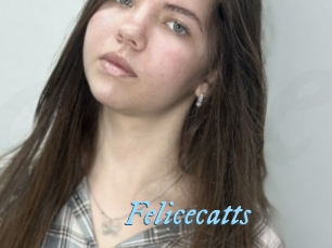 Felicecatts