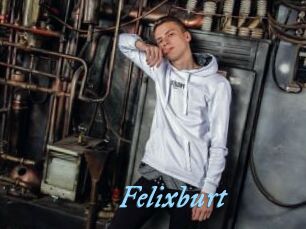 Felixburt