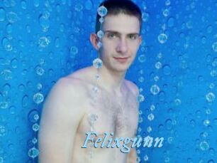 Felixgunn