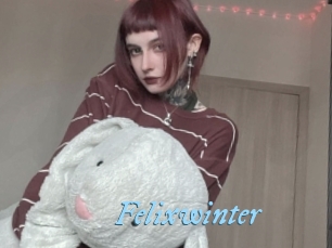 Felixwinter