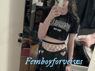 femboyforveiws DeriheruI