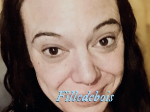 Filledebois
