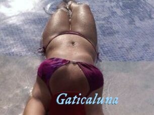 Gaticaluna