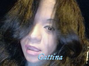 Gattina