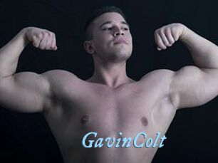 GavinColt
