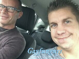 Gayfunguys