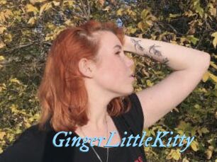 GingerLittleKitty
