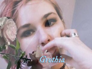 Grothia