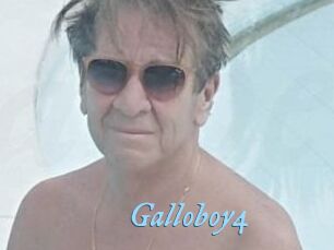 Galloboy4