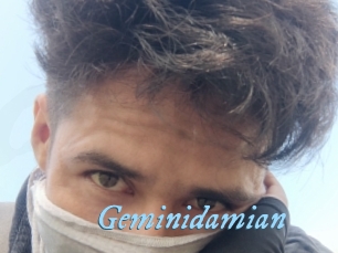 Geminidamian