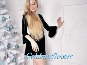 Goldennflower