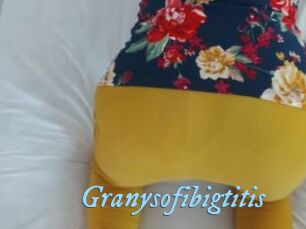 Granysofibigtitis