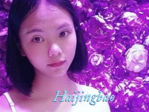 Haijingbao