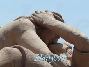 Hairyscot