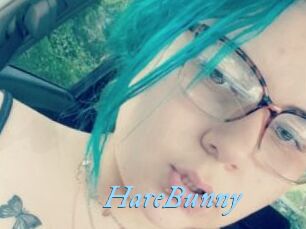 HareBunny