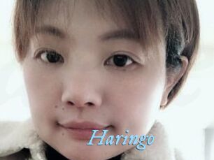 Haringo