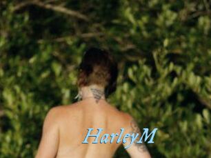 HarleyM