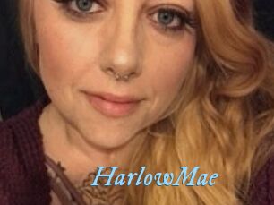 HarlowMae