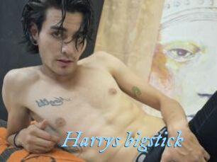 Harrys_bigstick