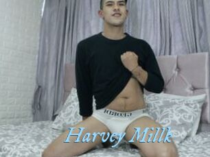 Harvey_Millk