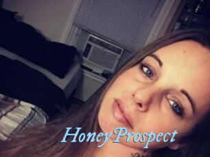 HoneyProspect