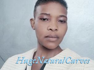 HugeNaturalCurves