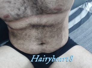 Hairybear18