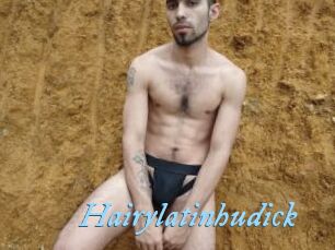 Hairylatinhudick