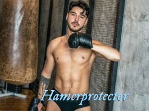 Hamerprotector