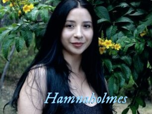 Hamnaholmes