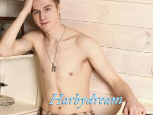 Harbydream