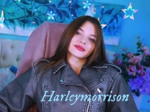 Harleymorrison