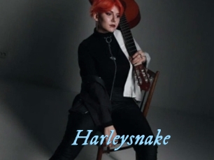 Harleysnake