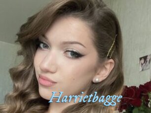 Harrietbagge