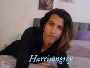 Harrisongrey