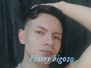 Harry_big029