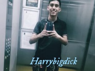 Harrybigdick