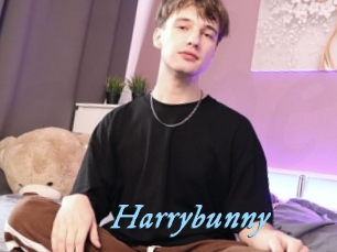 Harrybunny