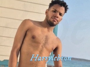 Harrylebron