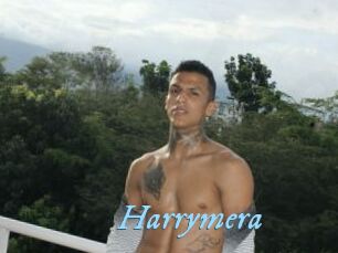 Harrymera