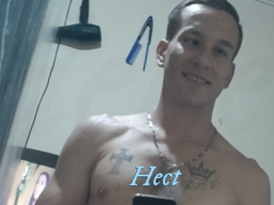 Hect
