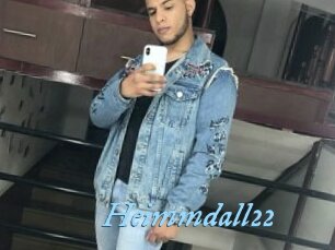 Heimmdall22