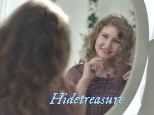 Hidetreasure