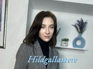 Hildgallamore